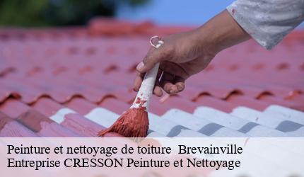 Peinture et nettoyage de toiture   brevainville-41160 Entreprise CRESSON Peinture et Nettoyage