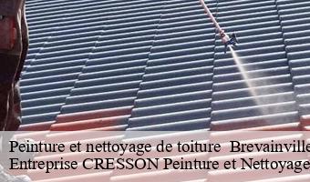 Peinture et nettoyage de toiture   brevainville-41160 Entreprise CRESSON Peinture et Nettoyage