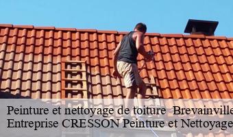 Peinture et nettoyage de toiture   brevainville-41160 Entreprise CRESSON Peinture et Nettoyage