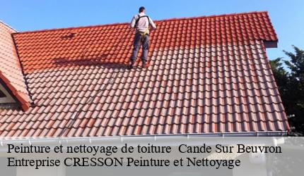 Peinture et nettoyage de toiture   cande-sur-beuvron-41120 Entreprise CRESSON Peinture et Nettoyage