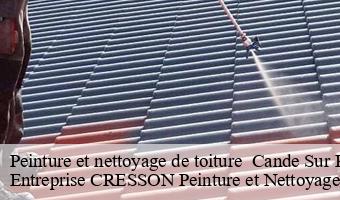 Peinture et nettoyage de toiture   cande-sur-beuvron-41120 Entreprise CRESSON Peinture et Nettoyage