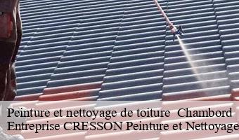 Peinture et nettoyage de toiture   chambord-41250 Entreprise CRESSON Peinture et Nettoyage