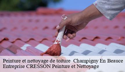 Peinture et nettoyage de toiture   champigny-en-beauce-41330 Entreprise CRESSON Peinture et Nettoyage