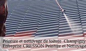 Peinture et nettoyage de toiture   champigny-en-beauce-41330 Entreprise CRESSON Peinture et Nettoyage