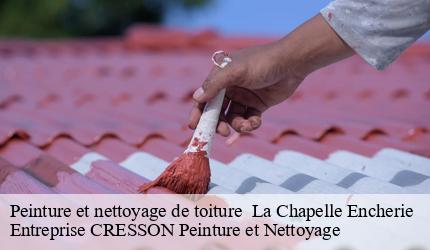 Peinture et nettoyage de toiture   la-chapelle-encherie-41290 Entreprise CRESSON Peinture et Nettoyage