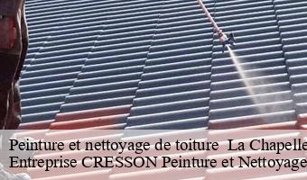 Peinture et nettoyage de toiture   la-chapelle-encherie-41290 Entreprise CRESSON Peinture et Nettoyage