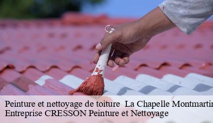 Peinture et nettoyage de toiture   la-chapelle-montmartin-41320 Entreprise CRESSON Peinture et Nettoyage