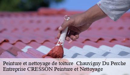 Peinture et nettoyage de toiture   chauvigny-du-perche-41270 Entreprise CRESSON Peinture et Nettoyage