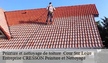 Peinture et nettoyage de toiture   cour-sur-loire-41500 Entreprise CRESSON Peinture et Nettoyage