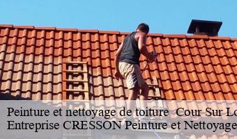 Peinture et nettoyage de toiture   cour-sur-loire-41500 Entreprise CRESSON Peinture et Nettoyage