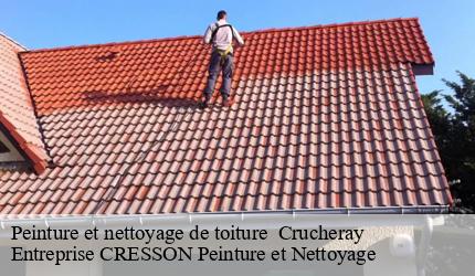 Peinture et nettoyage de toiture   crucheray-41100 Entreprise CRESSON Peinture et Nettoyage