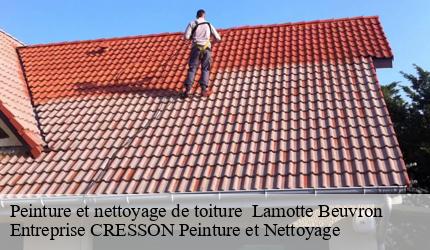 Peinture et nettoyage de toiture   lamotte-beuvron-41600 Entreprise CRESSON Peinture et Nettoyage