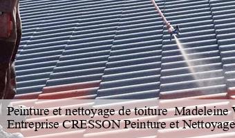 Peinture et nettoyage de toiture   madeleine-villefrouin-41370 Entreprise CRESSON Peinture et Nettoyage