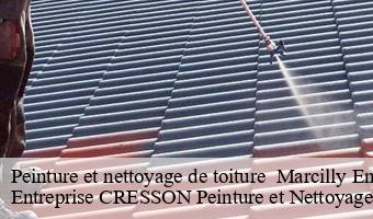 Peinture et nettoyage de toiture   marcilly-en-beauce-41100 Entreprise CRESSON Peinture et Nettoyage