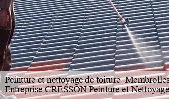 Peinture et nettoyage de toiture   membrolles-41240 Entreprise CRESSON Peinture et Nettoyage