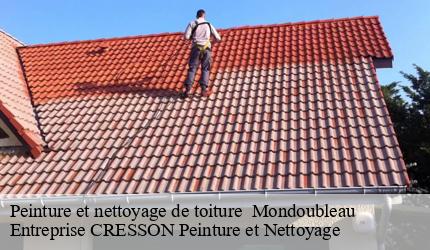 Peinture et nettoyage de toiture   mondoubleau-41170 Entreprise CRESSON Peinture et Nettoyage