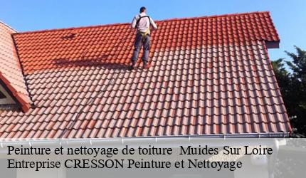 Peinture et nettoyage de toiture   muides-sur-loire-41500 Entreprise CRESSON Peinture et Nettoyage