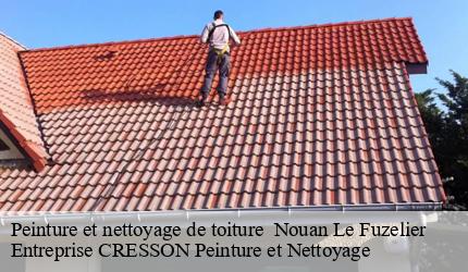 Peinture et nettoyage de toiture   nouan-le-fuzelier-41600 Entreprise CRESSON Peinture et Nettoyage