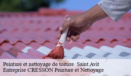 Peinture et nettoyage de toiture   saint-avit-41170 Entreprise CRESSON Peinture et Nettoyage