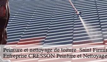 Peinture et nettoyage de toiture   saint-firmin-des-pres-41100 Entreprise CRESSON Peinture et Nettoyage