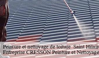 Peinture et nettoyage de toiture   saint-hilaire-la-gravelle-41160 Entreprise CRESSON Peinture et Nettoyage