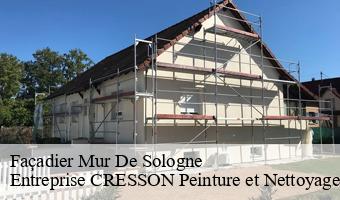 Façadier  mur-de-sologne-41230 Entreprise CRESSON Peinture et Nettoyage