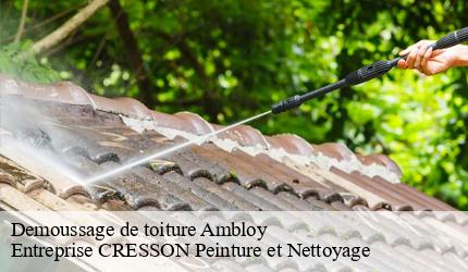 Demoussage de toiture  ambloy-41310 Entreprise CRESSON Peinture et Nettoyage