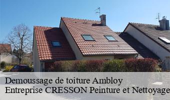 Demoussage de toiture  ambloy-41310 Entreprise CRESSON Peinture et Nettoyage