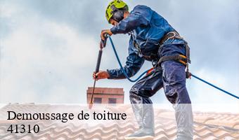 Demoussage de toiture  ambloy-41310 Entreprise CRESSON Peinture et Nettoyage