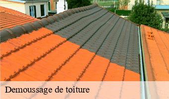 Demoussage de toiture  ambloy-41310 Entreprise CRESSON Peinture et Nettoyage