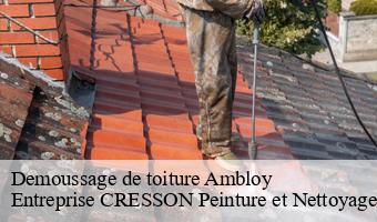 Demoussage de toiture  ambloy-41310 Entreprise CRESSON Peinture et Nettoyage