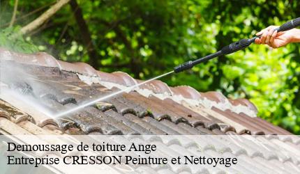 Demoussage de toiture  ange-41400 Entreprise CRESSON Peinture et Nettoyage