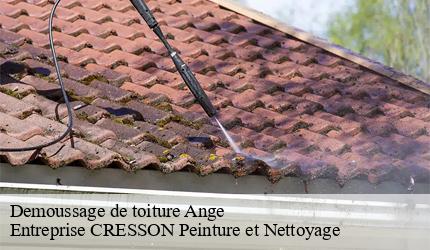 Demoussage de toiture  ange-41400 Entreprise CRESSON Peinture et Nettoyage