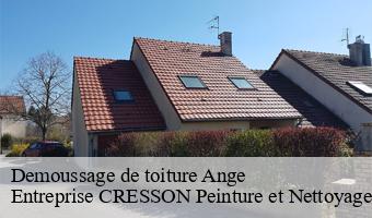 Demoussage de toiture  ange-41400 Entreprise CRESSON Peinture et Nettoyage