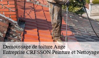 Demoussage de toiture  ange-41400 Entreprise CRESSON Peinture et Nettoyage