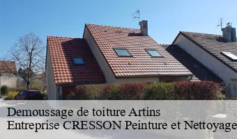 Demoussage de toiture  artins-41800 Entreprise CRESSON Peinture et Nettoyage