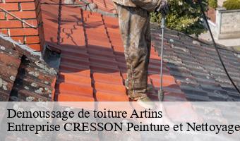 Demoussage de toiture  artins-41800 Entreprise CRESSON Peinture et Nettoyage