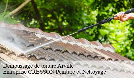 Demoussage de toiture  arville-41170 Entreprise CRESSON Peinture et Nettoyage