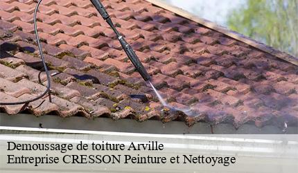 Demoussage de toiture  arville-41170 Entreprise CRESSON Peinture et Nettoyage