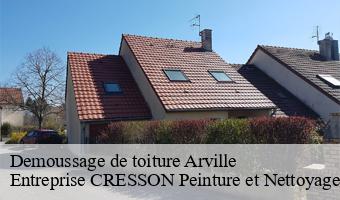 Demoussage de toiture  arville-41170 Entreprise CRESSON Peinture et Nettoyage