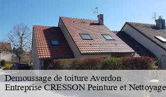 Demoussage de toiture  averdon-41330 Entreprise CRESSON Peinture et Nettoyage