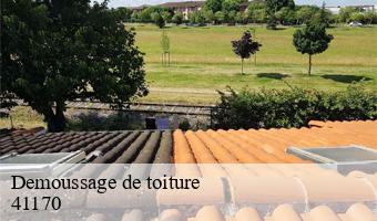 Demoussage de toiture  beauchene-41170 Entreprise CRESSON Peinture et Nettoyage