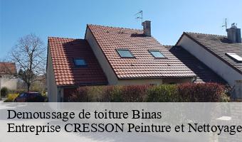 Demoussage de toiture  binas-41240 Entreprise CRESSON Peinture et Nettoyage