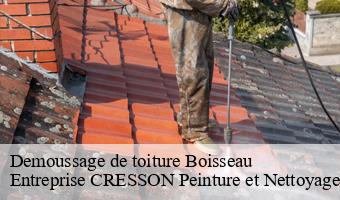 Demoussage de toiture  boisseau-41290 Entreprise CRESSON Peinture et Nettoyage