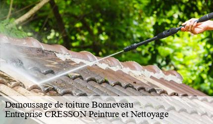 Demoussage de toiture  bonneveau-41800 Entreprise CRESSON Peinture et Nettoyage