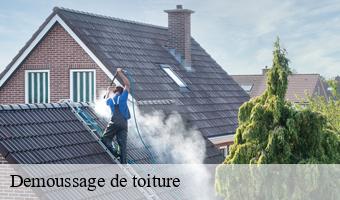 Demoussage de toiture  bonneveau-41800 Entreprise CRESSON Peinture et Nettoyage