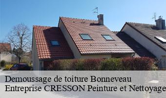 Demoussage de toiture  bonneveau-41800 Entreprise CRESSON Peinture et Nettoyage