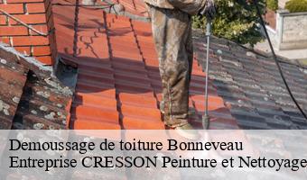 Demoussage de toiture  bonneveau-41800 Entreprise CRESSON Peinture et Nettoyage