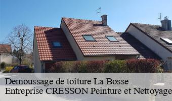 Demoussage de toiture  la-bosse-41290 Entreprise CRESSON Peinture et Nettoyage