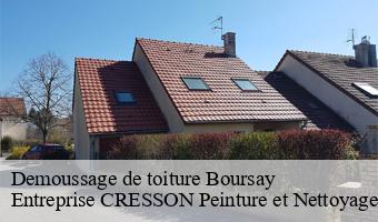 Demoussage de toiture  boursay-41270 Entreprise CRESSON Peinture et Nettoyage